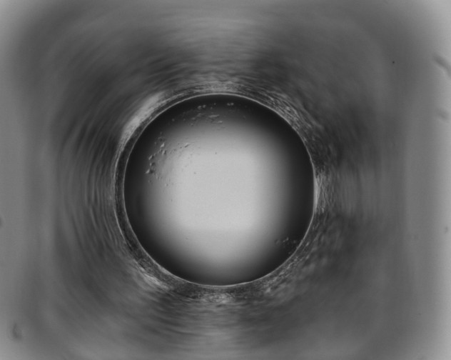 X0000097750195200803141604