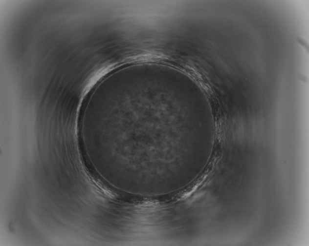 X0000097750196200803141604