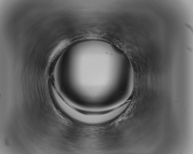 X0000097750197200803141604