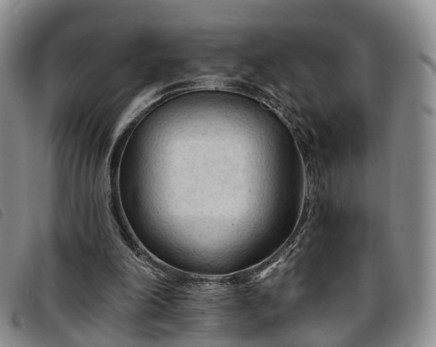 X0000097750198200803141604