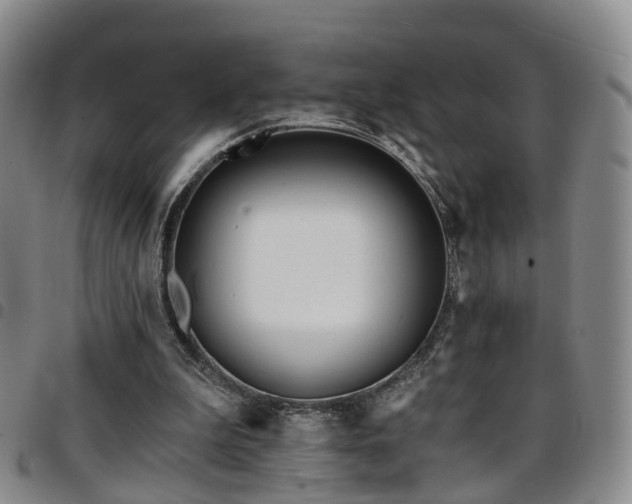 X0000097750199200803141604