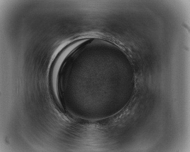 X0000097750200200803141604