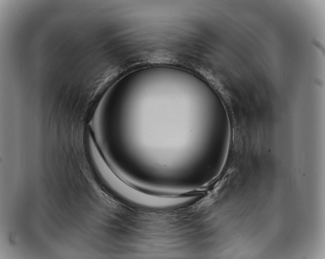 X0000097750201200803141604