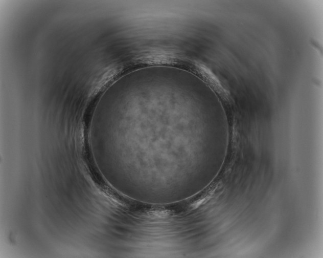 X0000097750202200803141604