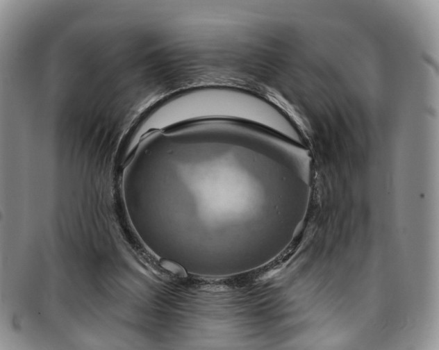 X0000097750203200803141604