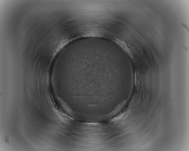 X0000097750204200803141604