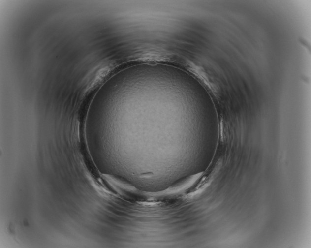 X0000097750205200803141604