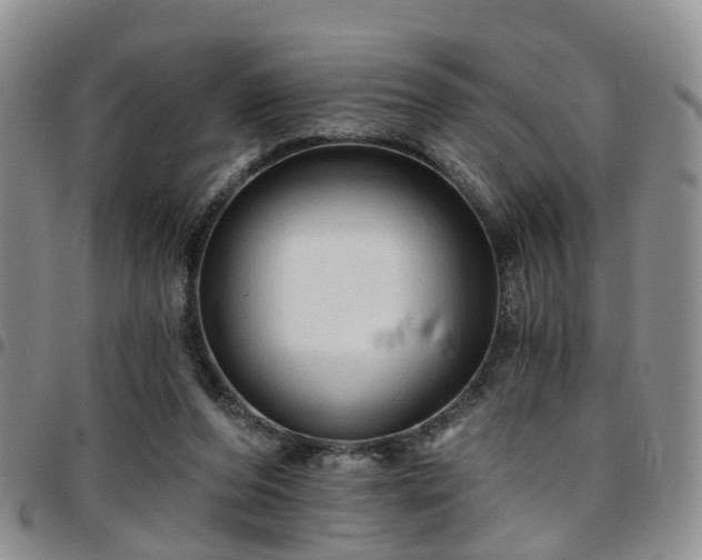 X0000097750208200803141604