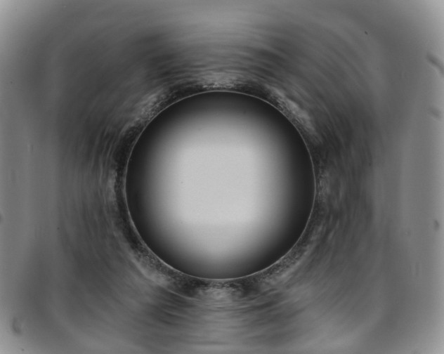 X0000097750209200803141604