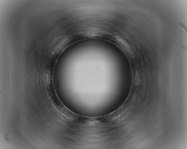 X0000097750210200803141604