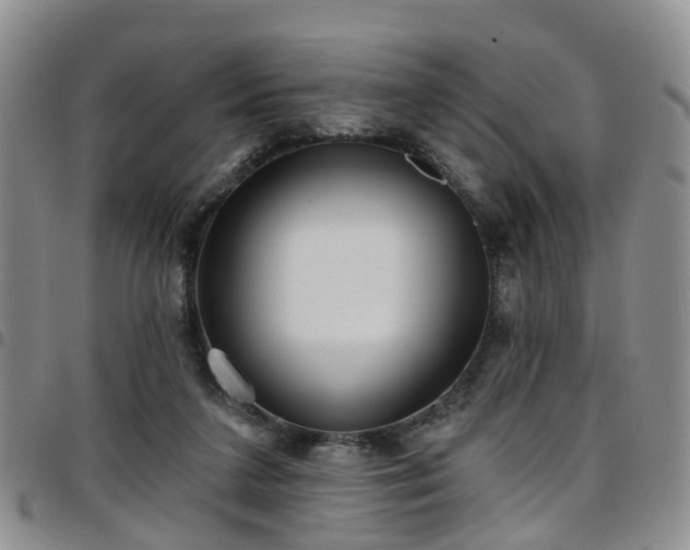 X0000097750211200803141604