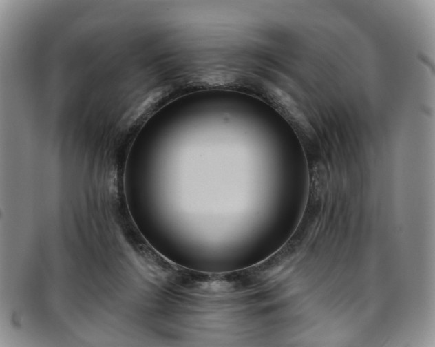 X0000097750212200803141604