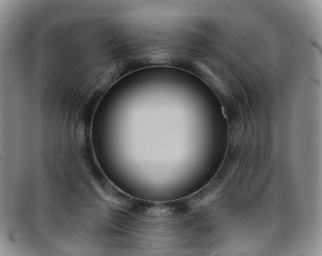 X0000097750213200803141604