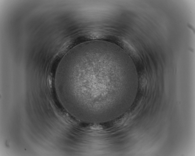 X0000097750214200803141604