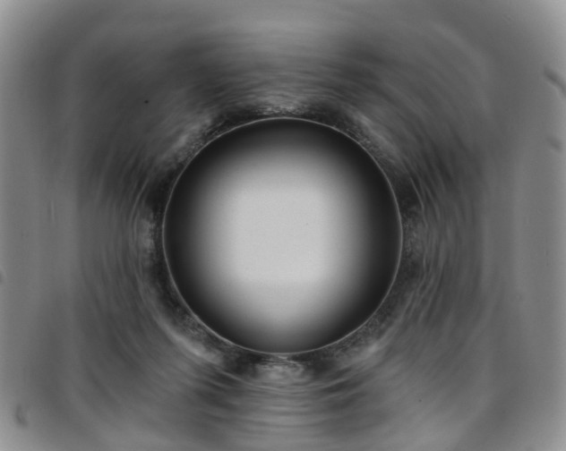 X0000097750215200803141604