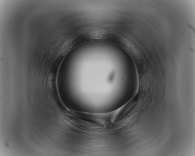 X0000097750217200803141604