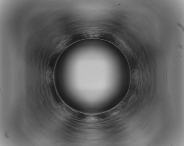 X0000097750218200803141604