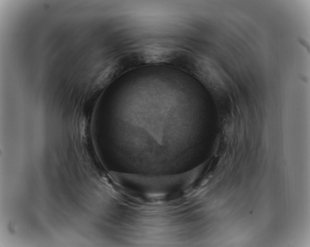 X0000097750219200803141604