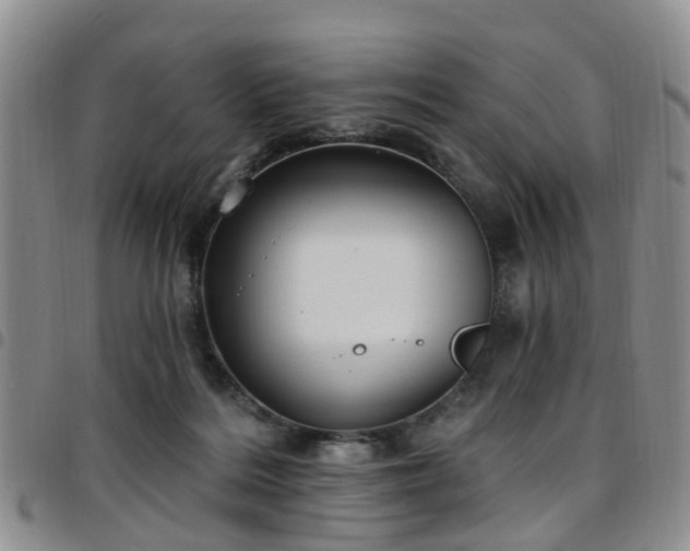 X0000097750220200803141603