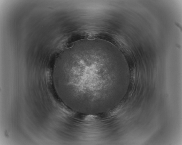 X0000097750222200803141603