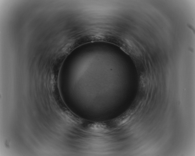 X0000097750223200803141603