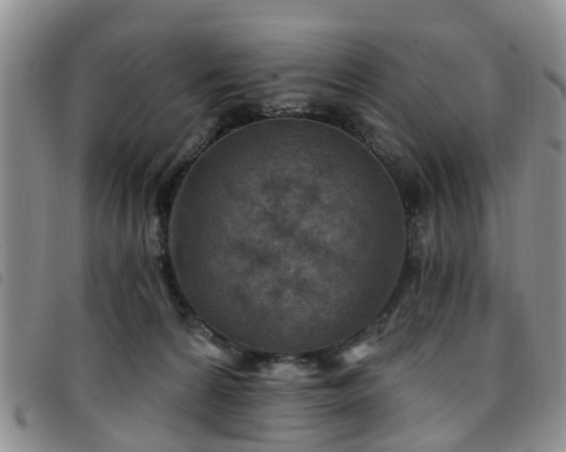 X0000097750224200803141603