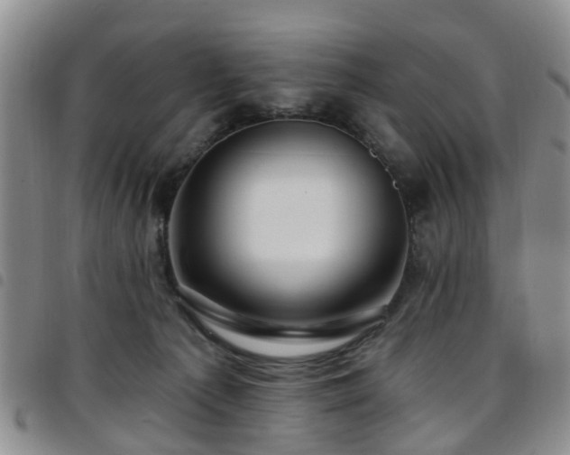 X0000097750225200803141603