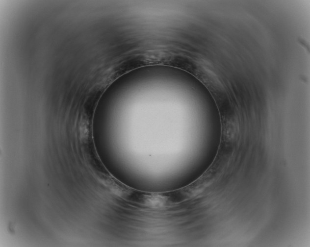 X0000097750226200803141603