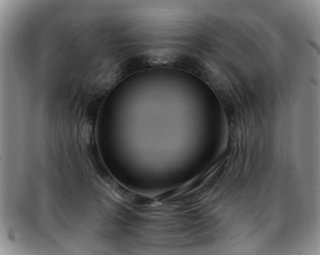 X0000097750227200803141603