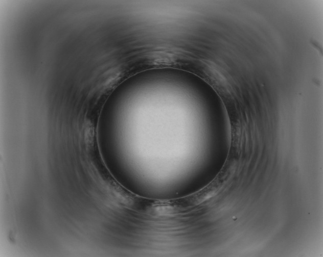 X0000097750228200803141603