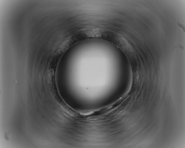 X0000097750229200803141603