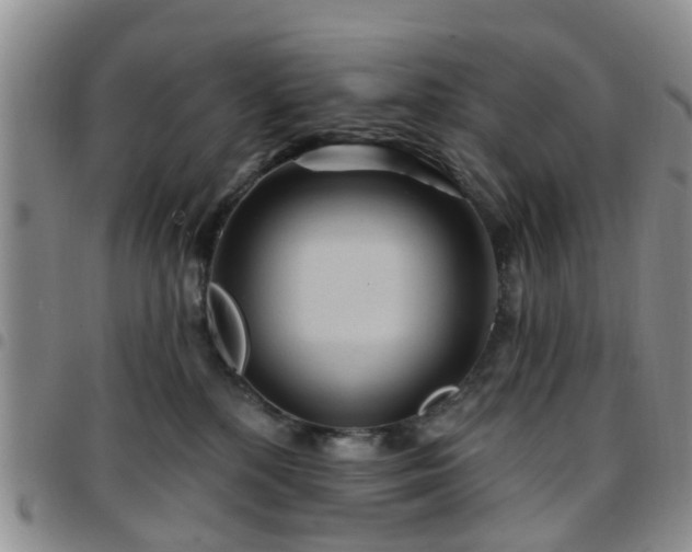 X0000097750232200803141603