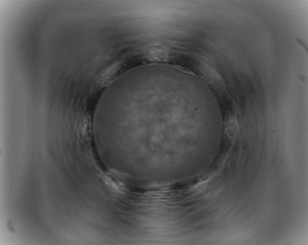 X0000097750233200803141603