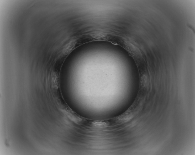 X0000097750234200803141603