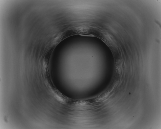 X0000097750235200803141603