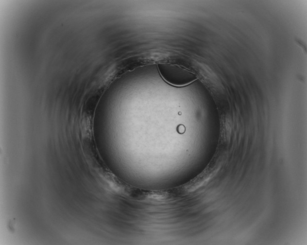 X0000097750236200803141603