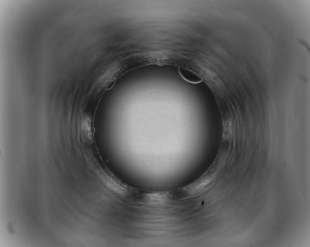 X0000097750238200803141603