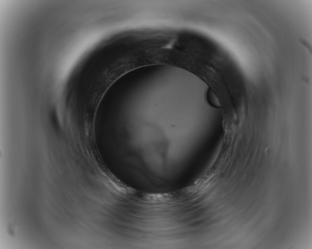 X0000097750239200803141603