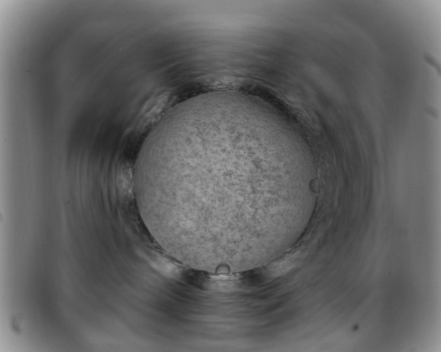 X0000097750240200803141603