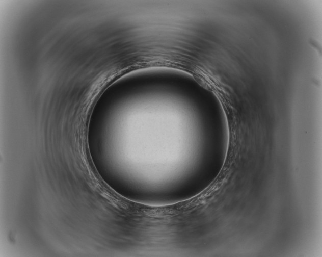 X0000097750241200803141602