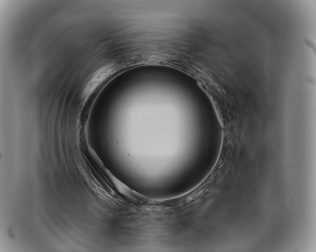 X0000097750242200803141602