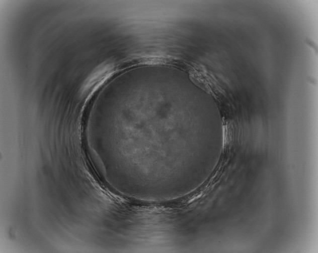 X0000097750243200803141602