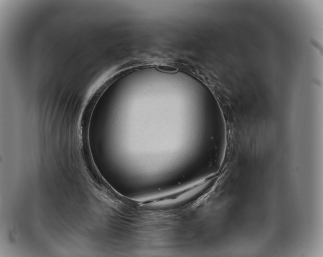 X0000097750246200803141603