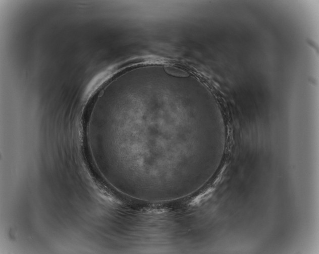 X0000097750247200803141603