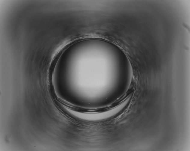 X0000097750248200803141603