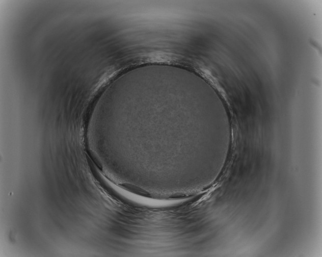 X0000097750249200803141603