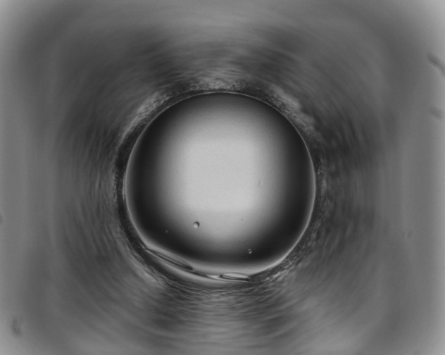 X0000097750250200803141603