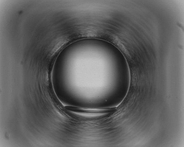 X0000097750251200803141603