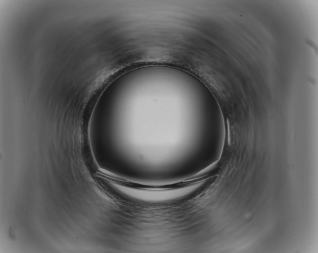 X0000097750252200803141603