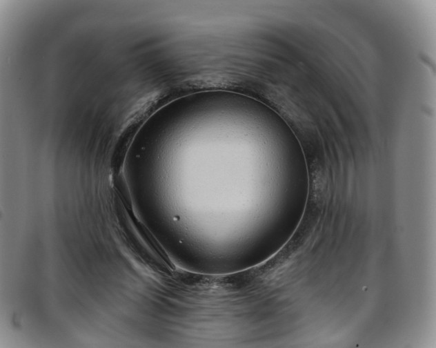 X0000097750254200803141603